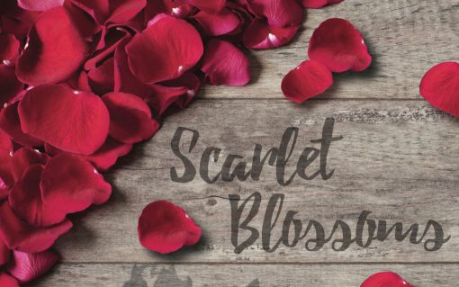 Scarlet Blossoms